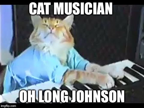 CAT MUSICIAN; OH LONG JOHNSON | image tagged in oh long,cat,musician,keyboard,johnson | made w/ Imgflip meme maker
