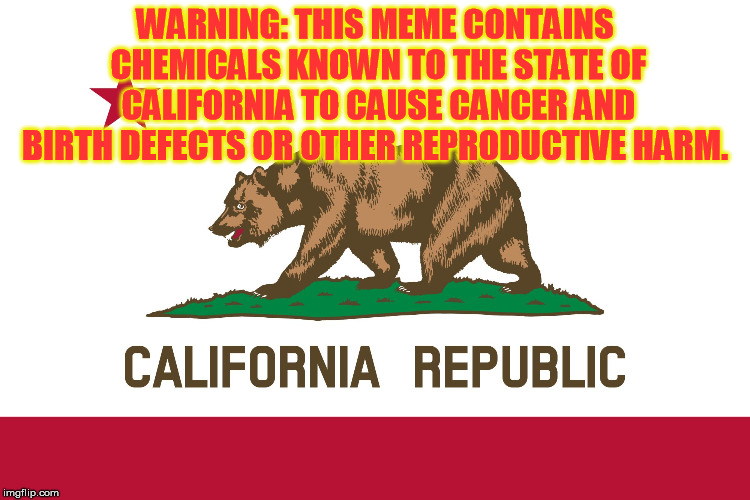 California Flag | WARNING: THIS MEME CONTAINS CHEMICALS KNOWN TO THE STATE OF CALIFORNIA TO CAUSE CANCER AND BIRTH DEFECTS OR OTHER REPRODUCTIVE HARM. | image tagged in california flag | made w/ Imgflip meme maker