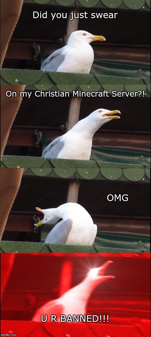 Inhaling Seagull | Did you just swear; On my Christian Minecraft Server?! OMG; U R BANNED!!! | image tagged in memes,inhaling seagull | made w/ Imgflip meme maker