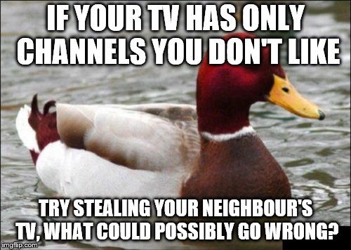 Malicious Advice Mallard | IF YOUR TV HAS ONLY CHANNELS YOU DON'T LIKE; TRY STEALING YOUR NEIGHBOUR'S TV, WHAT COULD POSSIBLY GO WRONG? | image tagged in memes,malicious advice mallard | made w/ Imgflip meme maker