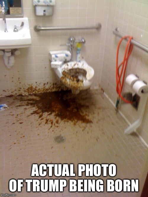shit | ACTUAL PHOTO OF TRUMP BEING BORN | image tagged in shit | made w/ Imgflip meme maker
