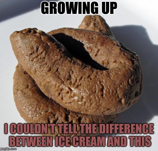 Poop | GROWING UP; I COULDN'T TELL THE DIFFERENCE BETWEEN ICE CREAM AND THIS | image tagged in poop | made w/ Imgflip meme maker