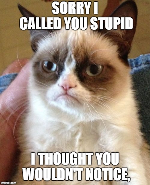 Grumpy Cat | SORRY I CALLED YOU STUPID; I THOUGHT YOU WOULDN'T NOTICE, | image tagged in memes,grumpy cat | made w/ Imgflip meme maker