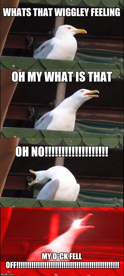 Inhaling Seagull Meme | WHATS THAT WIGGLEY FEELING; OH MY WHAT IS THAT; OH NO!!!!!!!!!!!!!!!!!!! MY D*CK FELL OFF!!!!!!!!!!!!!!!!!!!!!!!!!!!!!!!!!!!!!!!!!!!!!!!! | image tagged in memes,inhaling seagull | made w/ Imgflip meme maker