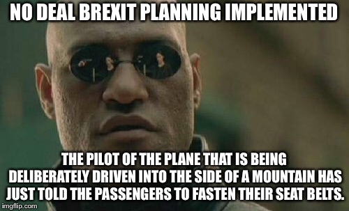 Matrix Morpheus | NO DEAL BREXIT PLANNING IMPLEMENTED; THE PILOT OF THE PLANE THAT IS BEING DELIBERATELY DRIVEN INTO THE SIDE OF A MOUNTAIN HAS JUST TOLD THE PASSENGERS TO FASTEN THEIR SEAT BELTS. | image tagged in memes,matrix morpheus | made w/ Imgflip meme maker