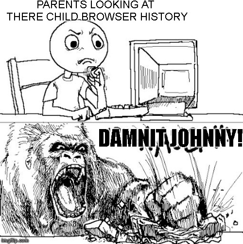 You Know It | PARENTS LOOKING AT THERE CHILD BROWSER HISTORY; DAMNIT JOHNNY! | image tagged in rage in a nutshell | made w/ Imgflip meme maker