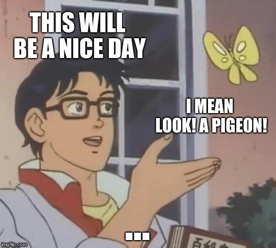 Is This A Pigeon Meme | THIS WILL BE A NICE DAY; I MEAN LOOK! A PIGEON! ... | image tagged in memes,is this a pigeon | made w/ Imgflip meme maker