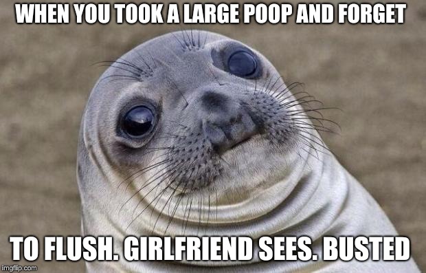 Awkward Moment Sealion | WHEN YOU TOOK A LARGE POOP AND FORGET; TO FLUSH. GIRLFRIEND SEES. BUSTED | image tagged in memes,awkward moment sealion | made w/ Imgflip meme maker