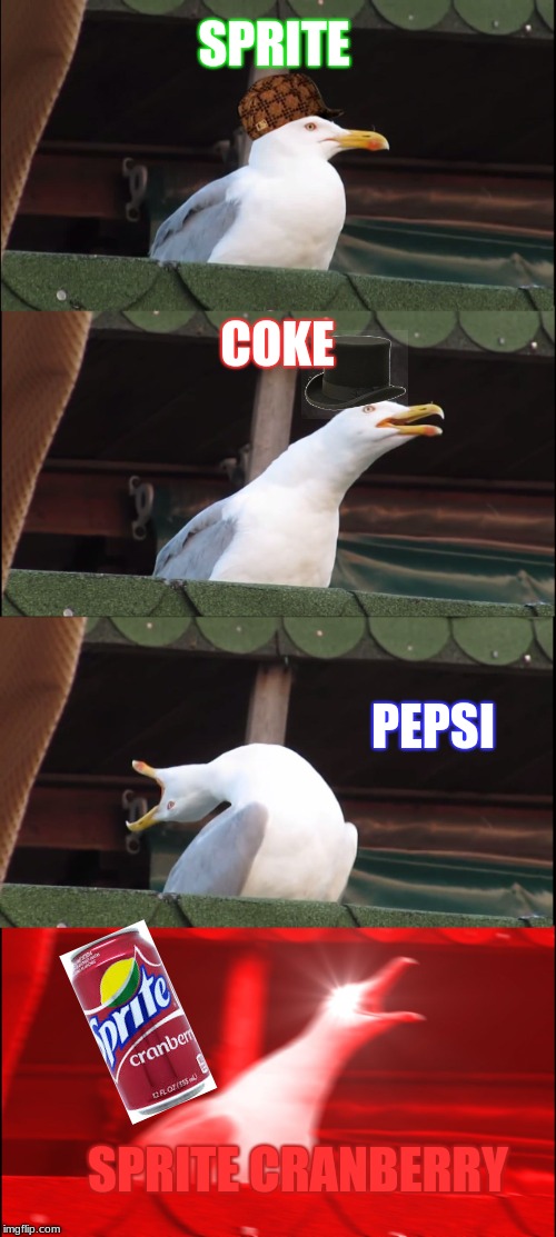 Cranberry | SPRITE; COKE; PEPSI; SPRITE CRANBERRY | image tagged in memes,inhaling seagull,scumbag | made w/ Imgflip meme maker