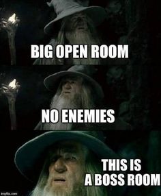 BOOS FIGHT | image tagged in confused gandalf | made w/ Imgflip meme maker