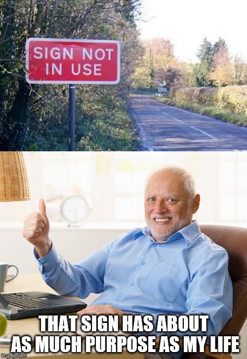 I'm Not in Use | THAT SIGN HAS ABOUT AS MUCH PURPOSE AS MY LIFE | image tagged in hide the pain harold,pain,life,the meaning of life,fml,just for fun | made w/ Imgflip meme maker