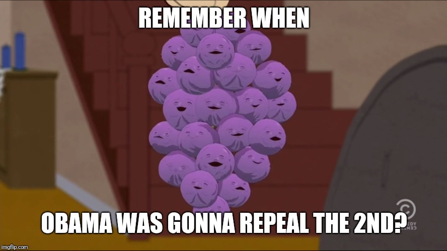 Member Berries Meme | REMEMBER WHEN OBAMA WAS GONNA REPEAL THE 2ND? | image tagged in memes,member berries | made w/ Imgflip meme maker