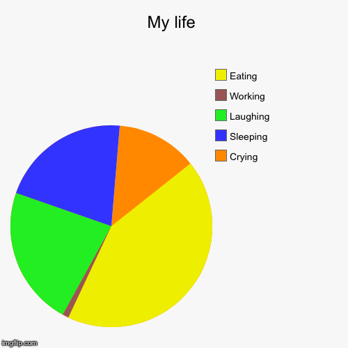 My life | Crying, Sleeping , Laughing , Working , Eating | image tagged in funny,pie charts | made w/ Imgflip chart maker