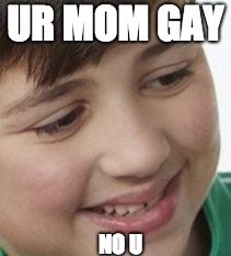 Dying inside |  UR MOM GAY; NO U | image tagged in dying inside | made w/ Imgflip meme maker