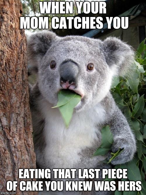 Surprised Koala | WHEN YOUR MOM CATCHES YOU; EATING THAT LAST PIECE OF CAKE YOU KNEW WAS HERS | image tagged in memes,surprised koala | made w/ Imgflip meme maker