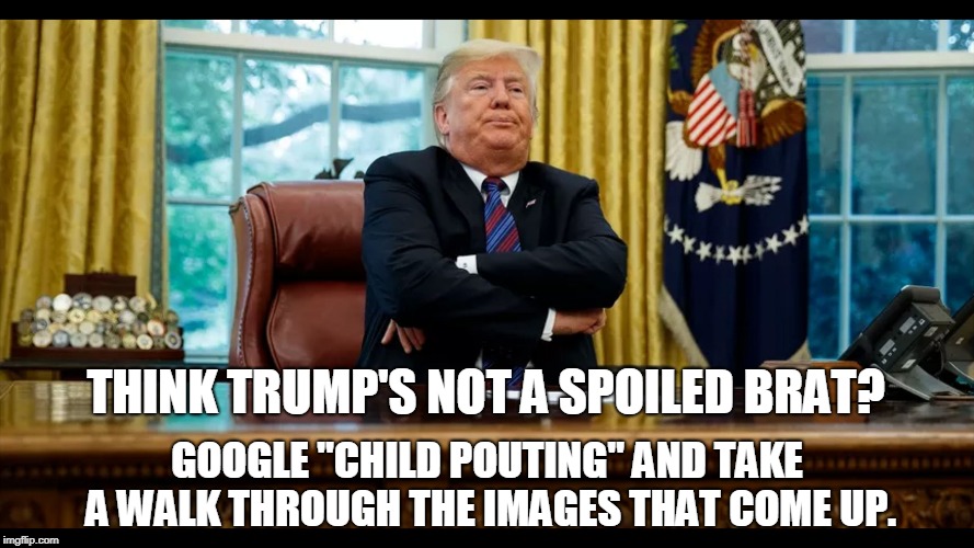 SPOILED BRAT | THINK TRUMP'S NOT A SPOILED BRAT? GOOGLE "CHILD POUTING" AND TAKE A WALK THROUGH THE IMAGES THAT COME UP. | image tagged in donald trump,trump,brat,spoiled,spoiled brat | made w/ Imgflip meme maker