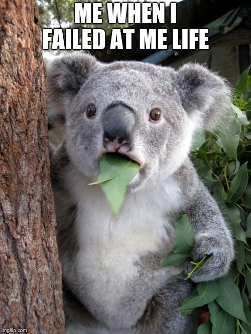 Surprised Koala | ME WHEN I FAILED AT ME LIFE | image tagged in memes,surprised koala | made w/ Imgflip meme maker