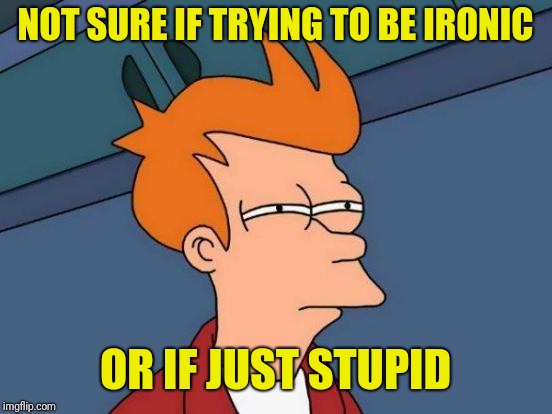 Futurama Fry Meme | NOT SURE IF TRYING TO BE IRONIC OR IF JUST STUPID | image tagged in memes,futurama fry | made w/ Imgflip meme maker