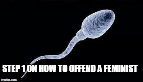 da sperm | STEP 1 ON HOW TO OFFEND A FEMINIST | image tagged in da sperm | made w/ Imgflip meme maker