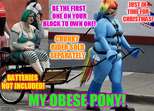 What are you waiting for? Order today! | BE THE FIRST ONE ON YOUR BLOCK TO OWN ONE! JUST IN TIME FOR CHRISTMAS! CHUNKY RIDER SOLD SEPARATELY; BATTERIES NOT INCLUDED! MY OBESE PONY! | image tagged in just in time for christmas | made w/ Imgflip meme maker