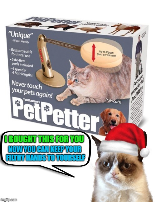 Pet Petter | I BOUGHT THIS FOR YOU; NOW YOU CAN KEEP YOUR FILTHY HANDS TO YOURSELF | image tagged in funny memes,cat,grumpy cat,christmas presents,cat meme | made w/ Imgflip meme maker