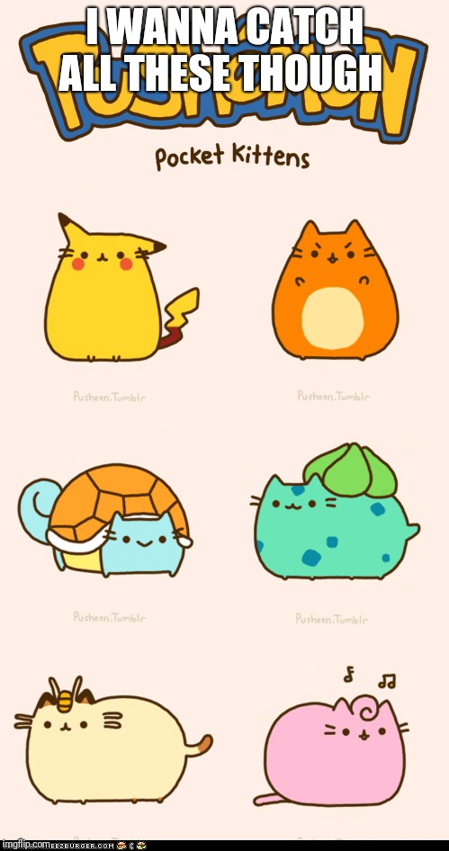 I WANNA CATCH ALL THESE THOUGH | image tagged in pokemon,pusheen,lol | made w/ Imgflip meme maker