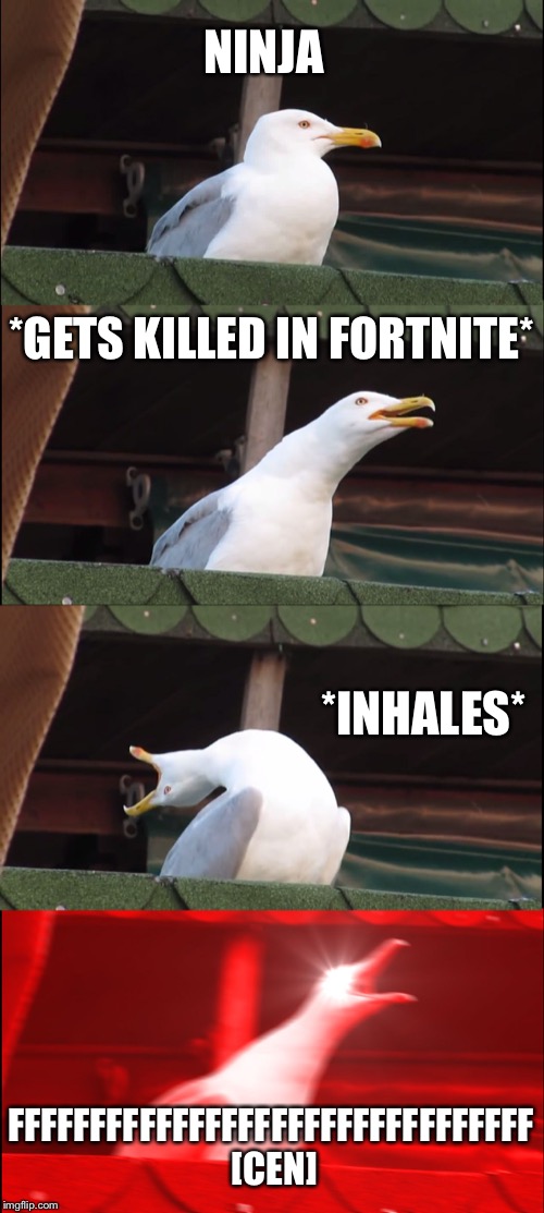 Inhaling Seagull | NINJA; *GETS KILLED IN FORTNITE*; *INHALES*; FFFFFFFFFFFFFFFFFFFFFFFFFFFFFFFF [CEN] | image tagged in memes,inhaling seagull | made w/ Imgflip meme maker