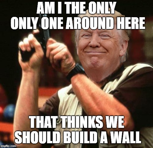 Seriously, I think we need to build a wall to keep criminals out. | AM I THE ONLY ONLY ONE AROUND HERE; THAT THINKS WE SHOULD BUILD A WALL | image tagged in build a wall,am i the only one around here,trump | made w/ Imgflip meme maker