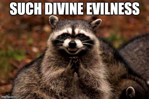 Evil Plotting Raccoon Meme | SUCH DIVINE EVILNESS | image tagged in memes,evil plotting raccoon | made w/ Imgflip meme maker