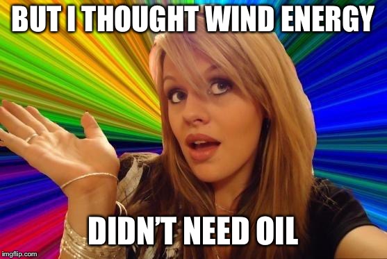 Dumb Blonde Meme | BUT I THOUGHT WIND ENERGY DIDN’T NEED OIL | image tagged in memes,dumb blonde | made w/ Imgflip meme maker