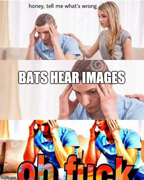 honey, tell me what's wrong | BATS HEAR IMAGES | image tagged in honey tell me what's wrong | made w/ Imgflip meme maker
