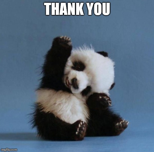 Panda | THANK YOU | image tagged in panda | made w/ Imgflip meme maker