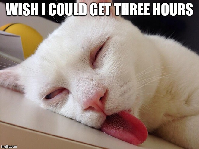 tired cat | WISH I COULD GET THREE HOURS | image tagged in tired cat | made w/ Imgflip meme maker