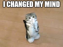 begging cat | I CHANGED MY MIND | image tagged in begging cat | made w/ Imgflip meme maker