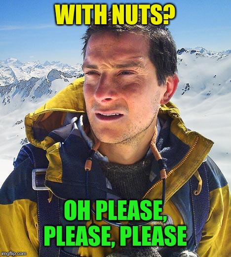 Bear Grylls Meme | WITH NUTS? OH PLEASE, PLEASE, PLEASE | image tagged in memes,bear grylls | made w/ Imgflip meme maker
