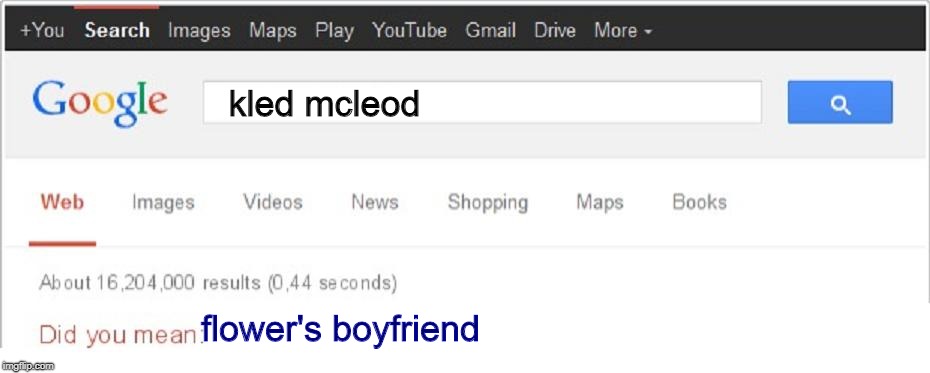 WHY COULD YOU DO THIS GOOGLE | kled mcleod; flower's boyfriend | image tagged in did you mean | made w/ Imgflip meme maker