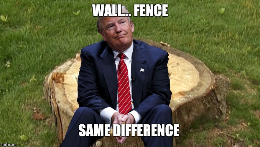 Trump on a stump | WALL... FENCE SAME DIFFERENCE | image tagged in trump on a stump | made w/ Imgflip meme maker