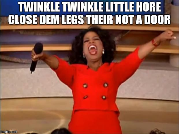 Oprah You Get A Meme | TWINKLE TWINKLE LITTLE HORE CLOSE DEM LEGS THEIR NOT A DOOR | image tagged in memes,oprah you get a | made w/ Imgflip meme maker