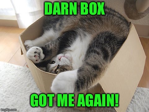 DARN BOX GOT ME AGAIN! | made w/ Imgflip meme maker