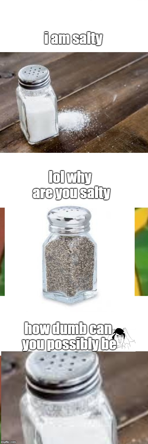 how dumb can you possibly be | i am salty; lol why are you salty; how dumb can you possibly be | image tagged in memes,i am salty,salt,pepper,funny,jokes | made w/ Imgflip meme maker