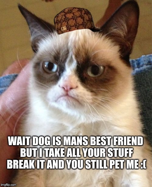 Grumpy Cat | WAIT DOG IS MANS BEST FRIEND BUT I TAKE ALL YOUR STUFF BREAK IT AND YOU STILL PET ME :( | image tagged in memes,grumpy cat,scumbag | made w/ Imgflip meme maker