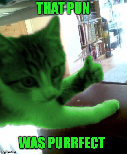 thumbs up RayCat | THAT PUN WAS PURRFECT | image tagged in thumbs up raycat | made w/ Imgflip meme maker