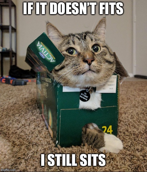 IF IT DOESN’T FITS I STILL SITS | made w/ Imgflip meme maker