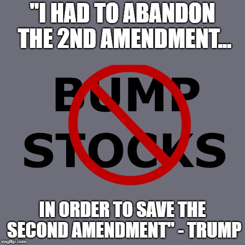 "I HAD TO ABANDON THE 2ND AMENDMENT... IN ORDER TO SAVE THE SECOND AMENDMENT" - TRUMP | made w/ Imgflip meme maker