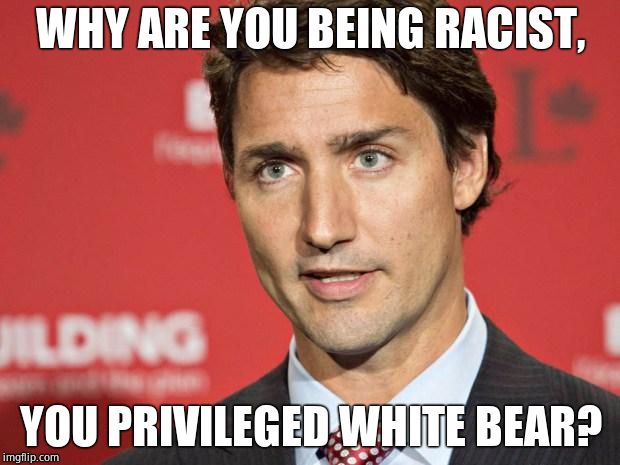 Trudeau | WHY ARE YOU BEING RACIST, YOU PRIVILEGED WHITE BEAR? | image tagged in trudeau | made w/ Imgflip meme maker