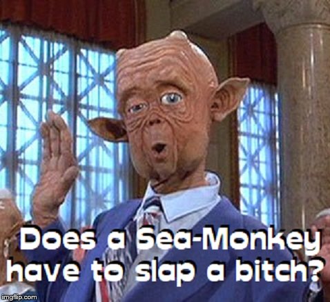 Mac and Me Sea-Monkey Pimp | image tagged in pimp | made w/ Imgflip meme maker