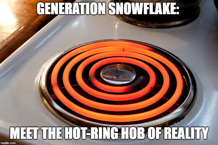 Generation Snowflake | GENERATION SNOWFLAKE:; MEET THE HOT-RING HOB OF REALITY | image tagged in snowflakes,real life | made w/ Imgflip meme maker