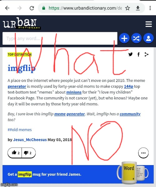 Urban dictionary: NOOOOO | image tagged in imgflip,urban dictionary,noooooooooooooooooooooooo,nooooooooo,nooooo | made w/ Imgflip meme maker