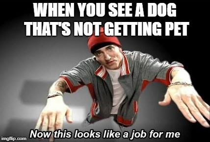 now this looks like a job for me meme dog