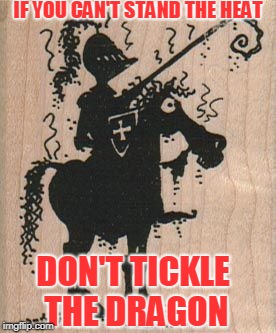 IF YOU CAN'T STAND THE HEAT; DON'T TICKLE THE DRAGON | image tagged in epic fail | made w/ Imgflip meme maker